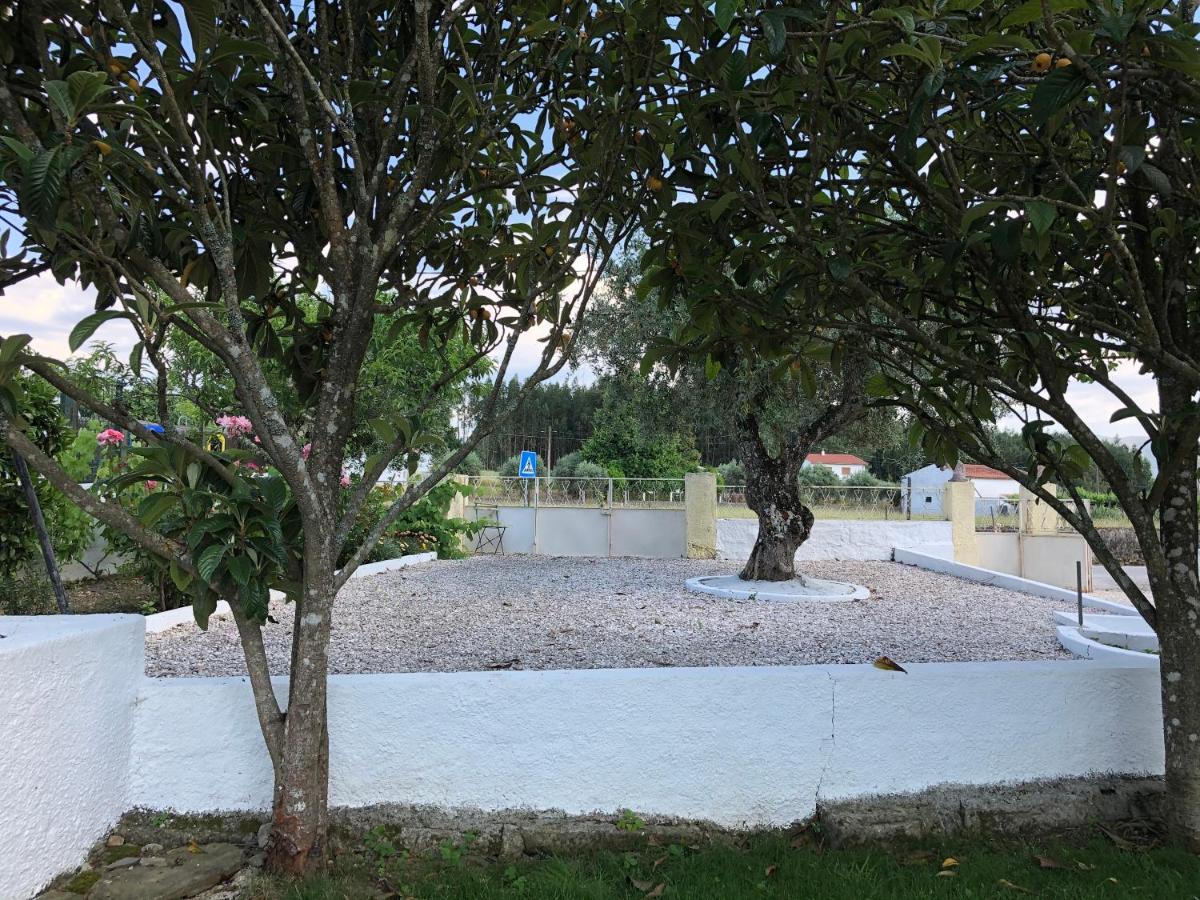 A Casa Amarela Apartamento Pinheiro de Coja Exterior foto